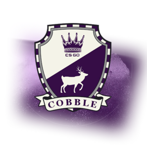 Кейс Cobblestone - CS2