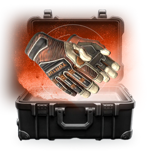 Кейс Фарм Перчаток - CS2