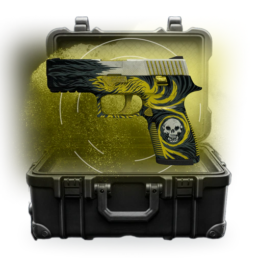 Кейс Случайный P250 - CS2